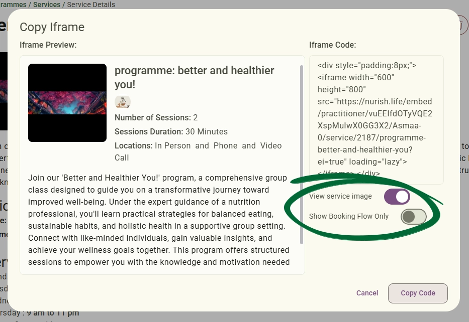 iframe display options screenshot